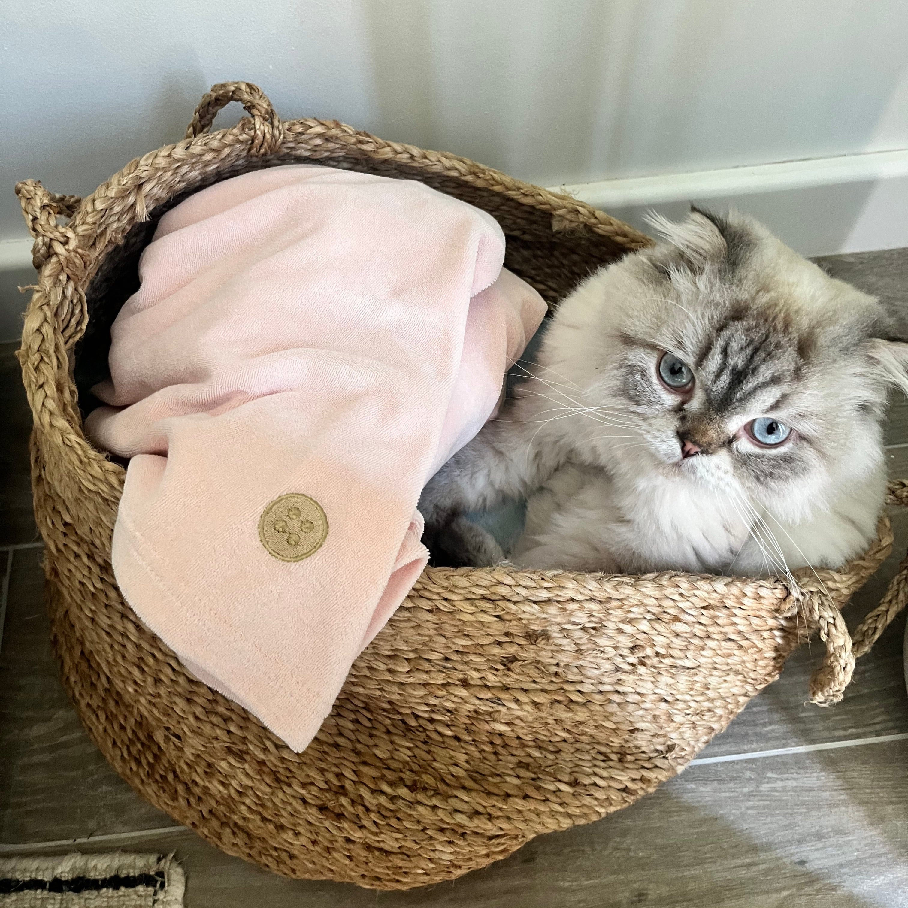 Cat curled up in a basket beside an old Dry Dolly towel dress, showing its lasting quality and sustainable end-of-life use as a cosy pet towel